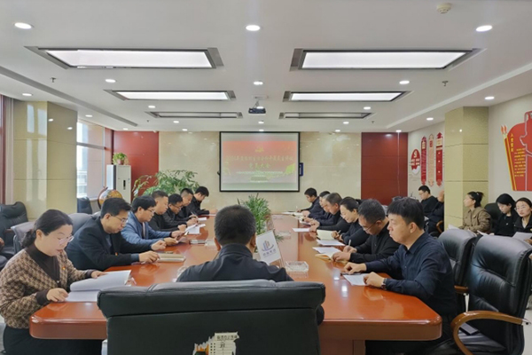 中共中臨建設(shè)集團股份有限公司支部委員會 召開2024年度組織生活會暨民主評議 黨員大會